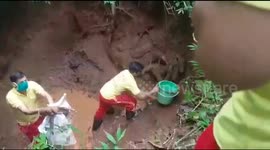 20 trapped wild boar piglets scamper in a flurry inside a well in India