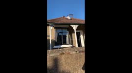 Couple return home to discover their dog on the roof