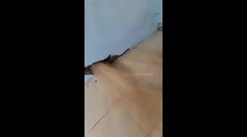 Rapid floodwater destroys walls of houses in northern Vietnam