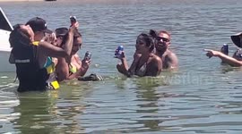 Hilarious remote control alligator pranks bathers in southern California