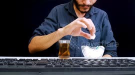 Curious ants make their way out of maze in homemade experiment