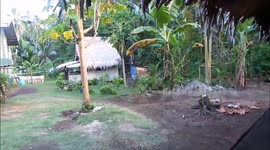 Woman who grew up on tropical island becomes software engineer