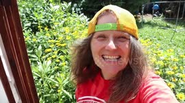 Return of The Monarch Butterflies Canadian Woman Saving Monarchs Third Year Running