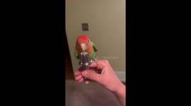 You Ring my Bell