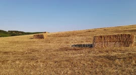 Bales of straw / hay in a earthy summer landscape in Leon, Spain. Time to harvest some wheat and keep the grass to feed the animals in winter. Drone cinamtic footage.