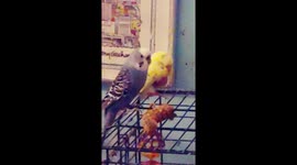 Blah blah blah mouth moving nothing is coming out