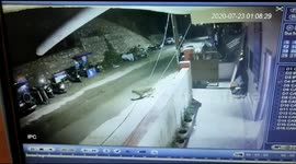 Leopard caught stalking cattle herd through streets of north Indian city