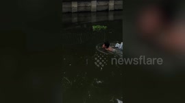 Moment passerby swims through filthy canal in Thailand to save drowning dog