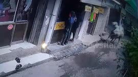 Video of bull attack in Western India