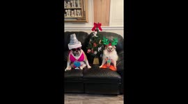 Christmas in July