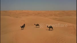 Amazing desert shots