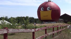 The world's biggest face mask? Canadian farm creates huge display to prevent COVID-19 spread