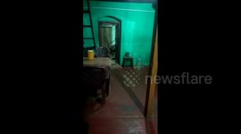 Rogue deer crashes into Indian village hotel looking for food