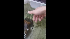 Relax with my fish