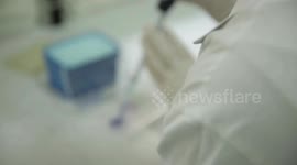 Race for Coronavirus vaccine moves forward: Pfizer begins final stage of testing