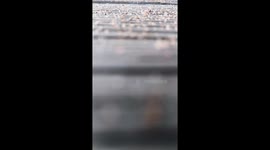 Take a walk on the dock