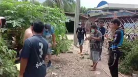 Pet kitten saved after falling down 25ft deep well in Thailand