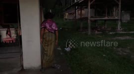 Pensioner catches two mating snakes near her home 'to bring good luck'