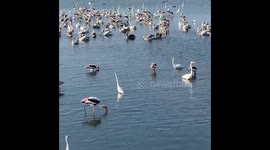 Bundala National Park is an internationally important wintering ground for migratory water birds in Sri Lanka