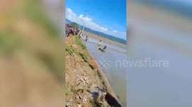 Wild crocodile sparks panic after walking through rice fields in Indonesia