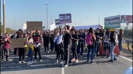 Burning of wetlands in Argentina: environmentalists describe it as 'ecocide' against the expansion of livestock farming