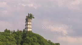 Ancient tree risks being removed as it grows on top of 600-year-old Chinese pagoda