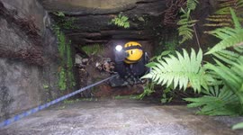 GoPro footage shows rescuers abseiling down abandoned well to save stray cat