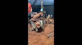 The man sculpted the dragon from a wood