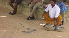 Snake Charmer at Galle fort, Sri Lanka.