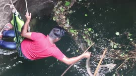 Indian man rescues cobra and rat snake from well in unnerving footage