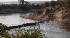 Mara river crossing