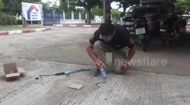 Fireman catches baby cobra in empty plastic drinks bottle