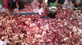 Sacrificial Animal Slaughter in Padang, West Sumatra