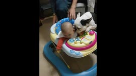 BABYB  and kiss dogs @shy_sushi_saha