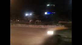 Running Cow hits car from front