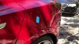 Car vandal caught on Tesla Dash Cam