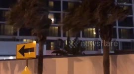 Trees and roadsigns battered by strong winds as Tropical Storm Isaias approaches Florida
