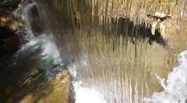 Water Stream from kanneliya forest