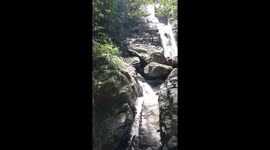 Natural Water Fall founded in Rain Forest