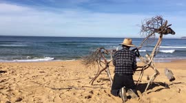 Australian Sculptor creates an amazing horse from driftwood by the ocean