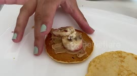 Adorable French Bulldog struggles to eat a mini pancake