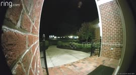 I scare a deer from my home from 1,900 miles away