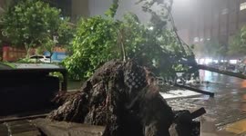 Typhoon Hagupit makes landfall in eastern China