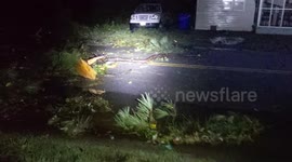 Trees are scattered across road as tornado rips through Suffolk, Virginia