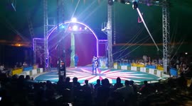 Young Boy In Magnificent Tricky Show