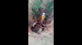Kind villagers rescued mother cow and calf from 70 feet dry well in northern India