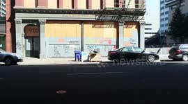 Area of Portland protests during daytime