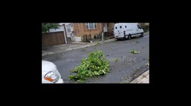 Tropical isaias devastates the Boroughs of New York