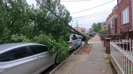 isaias leaves it mark on NYC