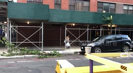 Snapped tree narrowly misses car after Hurricane - Tropical Storm Isaias hit NYC